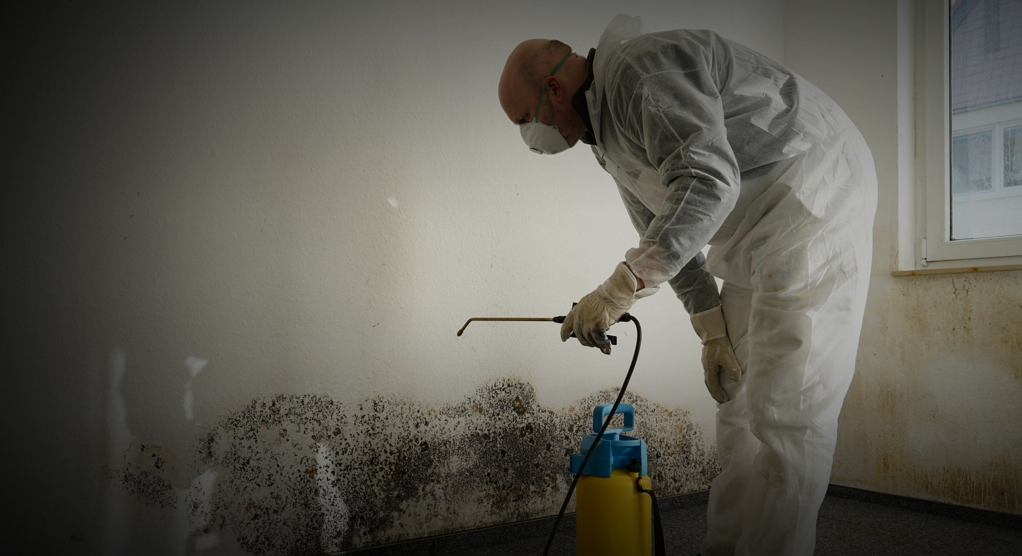 Mold Removal Dubai for Sensitive and Critical Areas